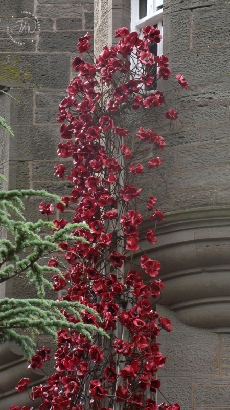 DSCF2767