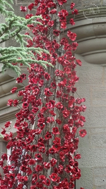 DSCF2768