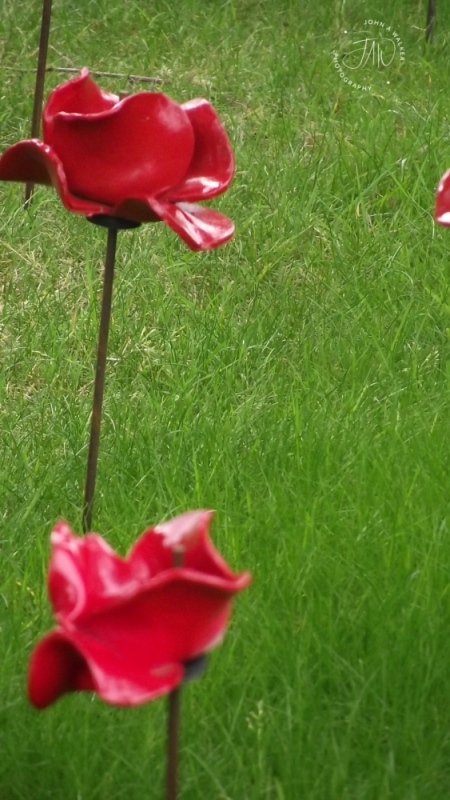DSCF2773