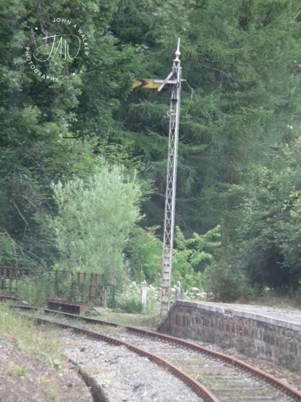 DSCF3887