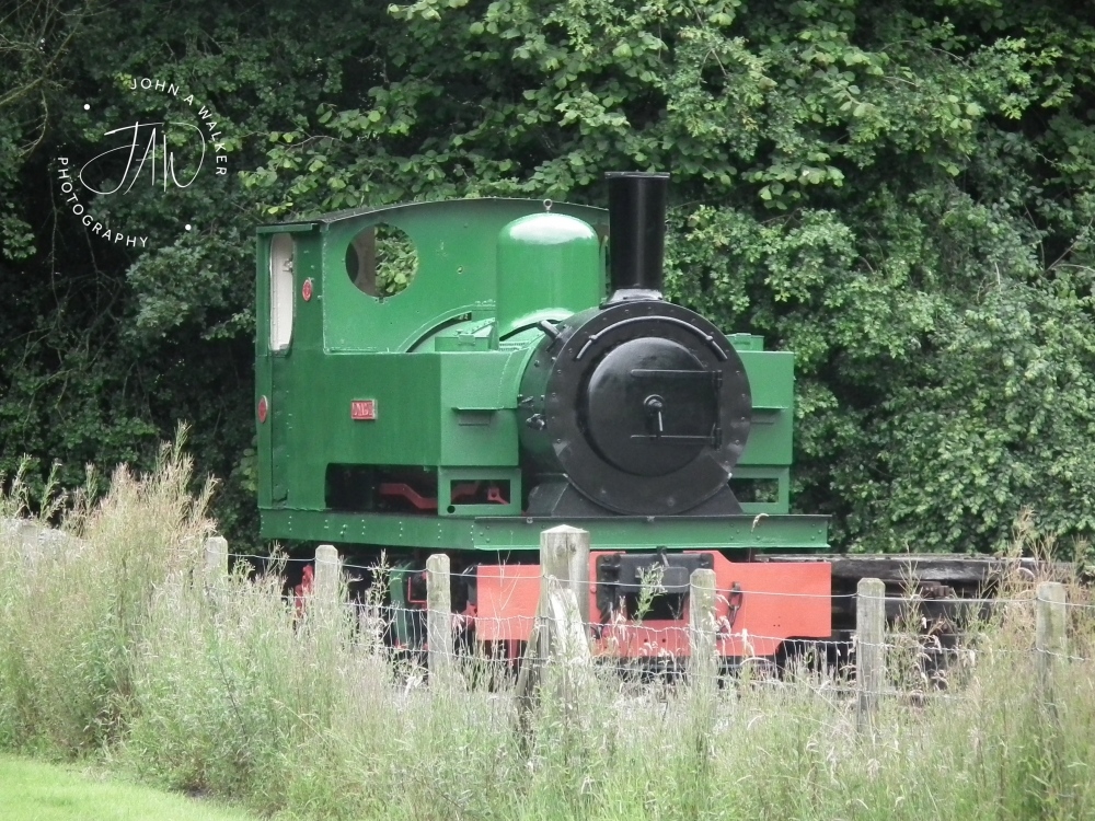 DSCF3175