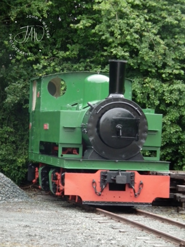 DSCF3177