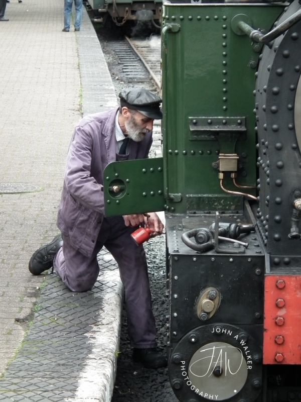 DSCF3206